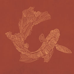 ~S-ԭƱڮ CG-NDC5020