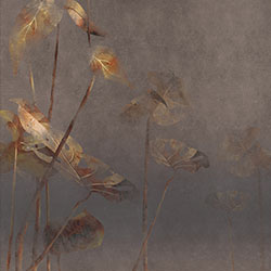 ~}-ԭƱڮ CG-NDC5035