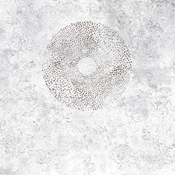 ᭇ-ԭƱڮ CG-NDC5118