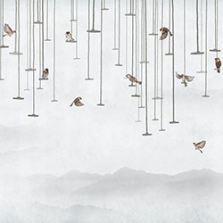 Ļ-ԭƱڮ CG-NDC5235