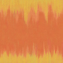 ׃-ԭƱڮ CG-NDC5002