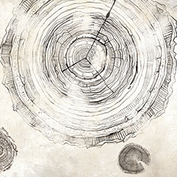 fL-ԭƱڮ CG-NDC5047