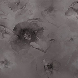 ͩ-ԭƱڮ CG-NDC5176