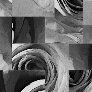 õ-ԭƱڮ CG-NDC5254