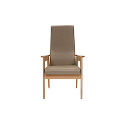 danesa armchair CG-D029-1
